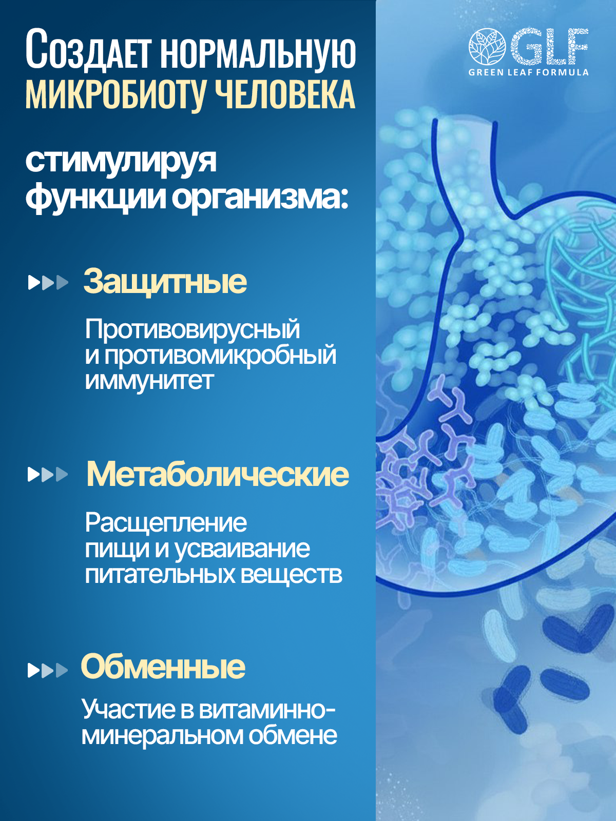 Метабиотик и бифидобактерии Green Leaf Formula пробиотики для кишечника и иммунитета лактулоза - фото 6