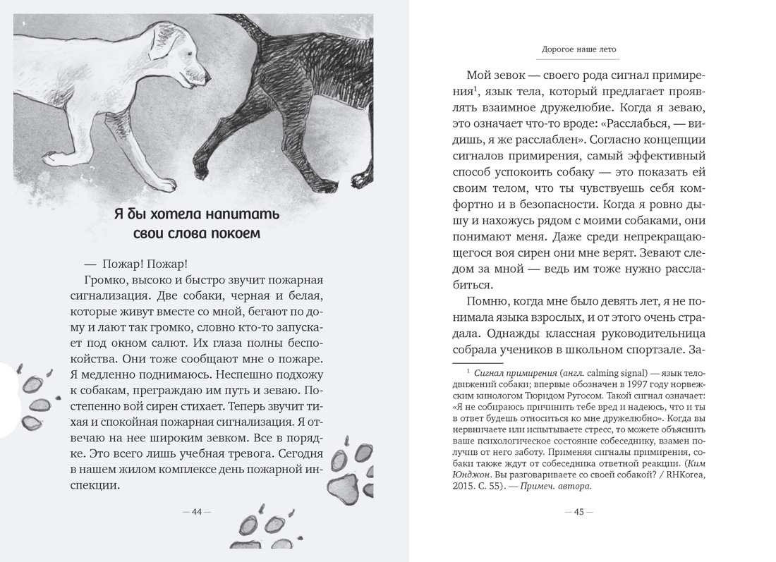 Книга АЗБУКА Бестселлеры NF Джиын Чхве Дорогое наше лето - фото 19
