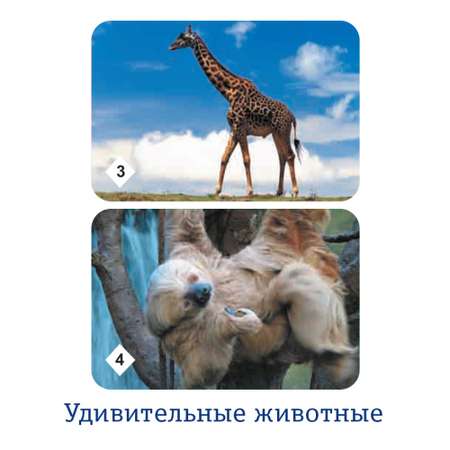 Настольная игра Нескучные игры Мемо