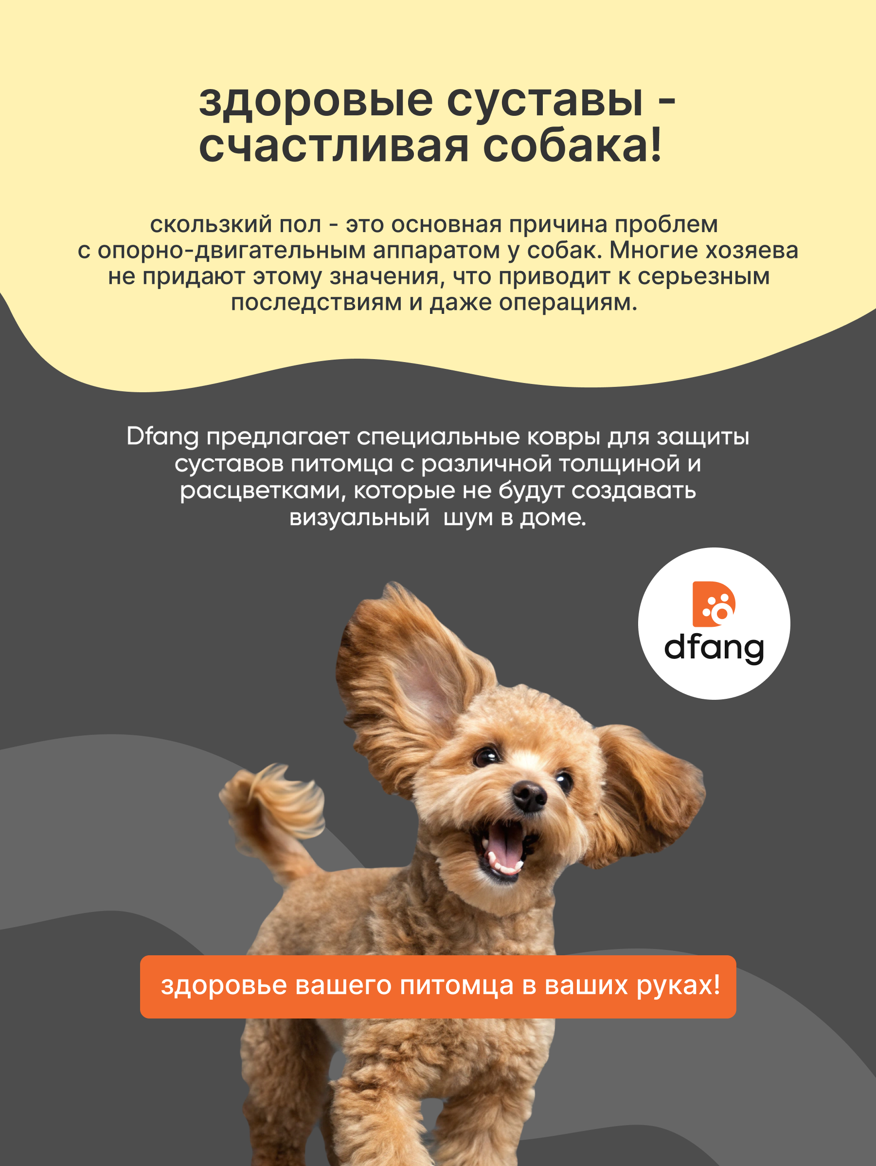 Моющийся ковер для собак в гостиную Dfang Кремовый шик 180х140х0.7см - фото 2