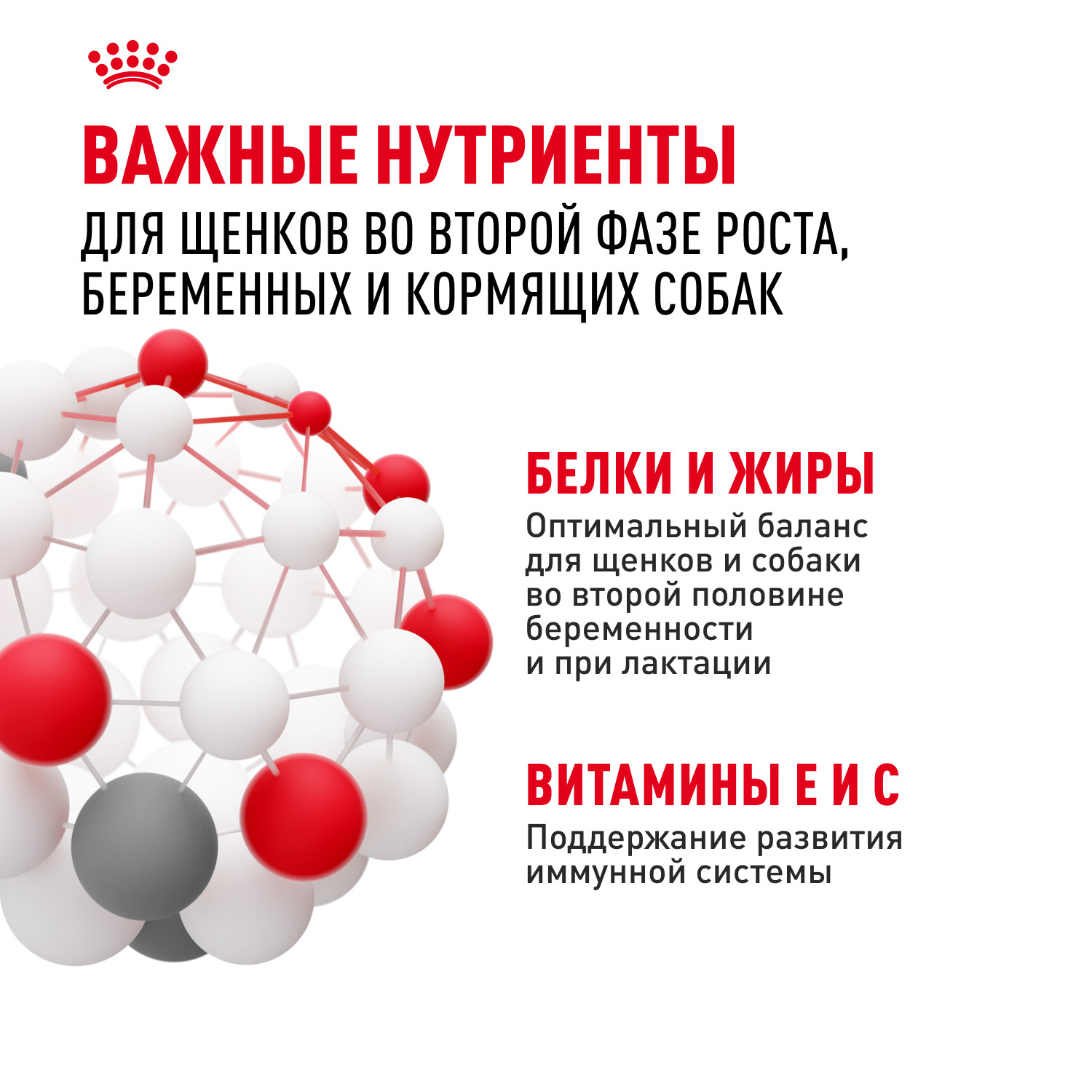 Корм для щенков ROYAL CANIN Starter очень крупных пород 15кг - фото 5