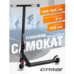 Трюковой самокат CITYRIDE двухколесный