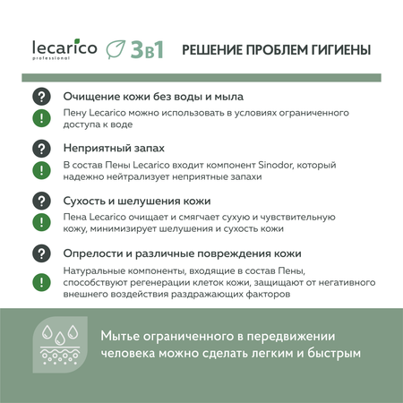 Пена Lecarico 250 мл