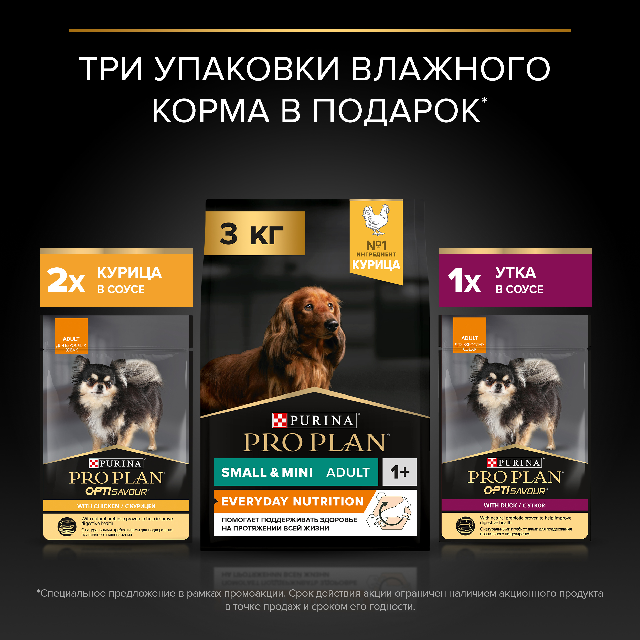 Сухой корм PRO PLAN для взрослых собак мелких с курицей 3кг+влажный корм с уткой и курицей 85г*3шт - фото 3