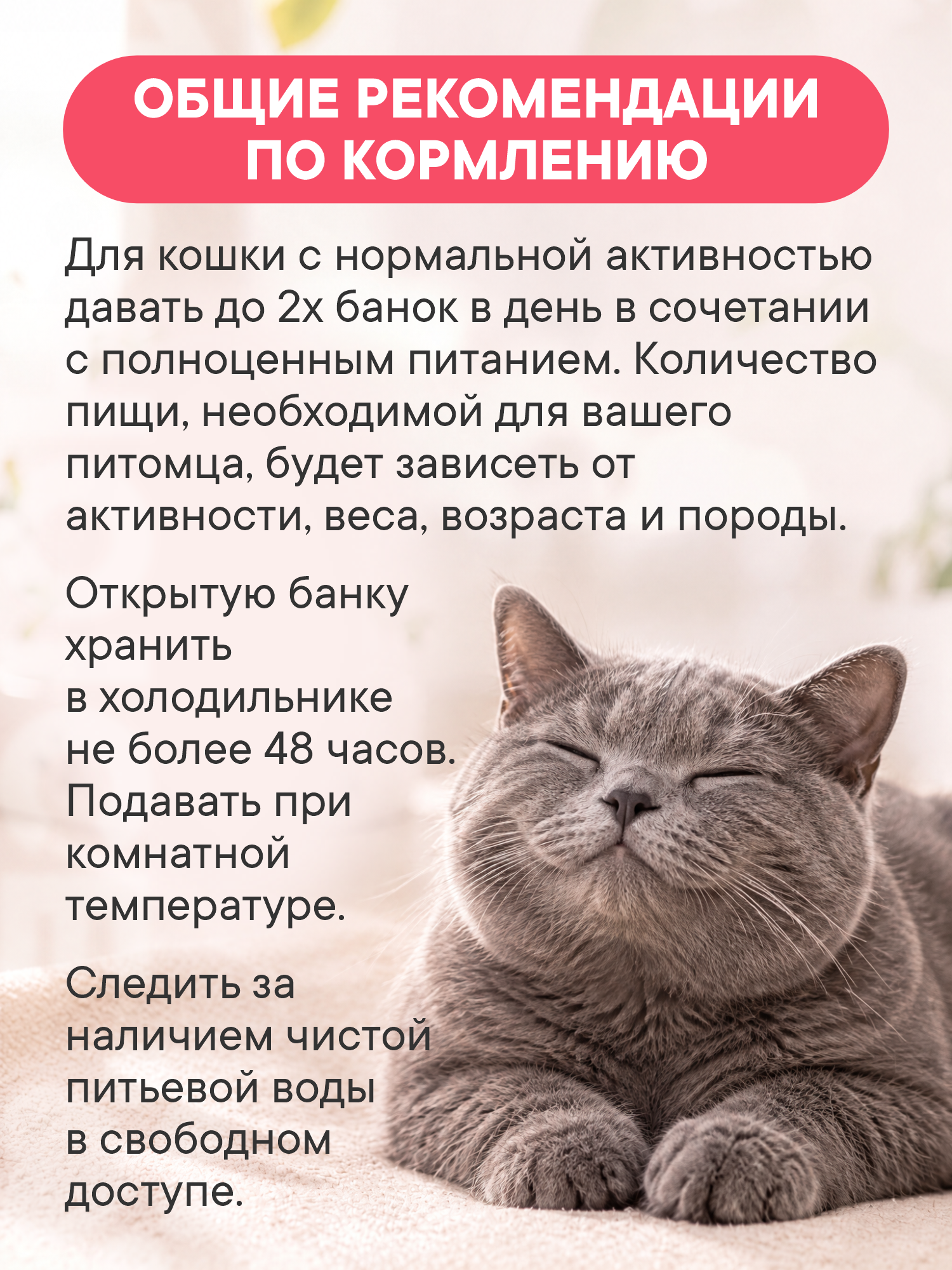 Корм для кошек влажный 1st Choice Indoor Vitality для домашних Курица с яблоками ж/б 85г 12шт - фото 6