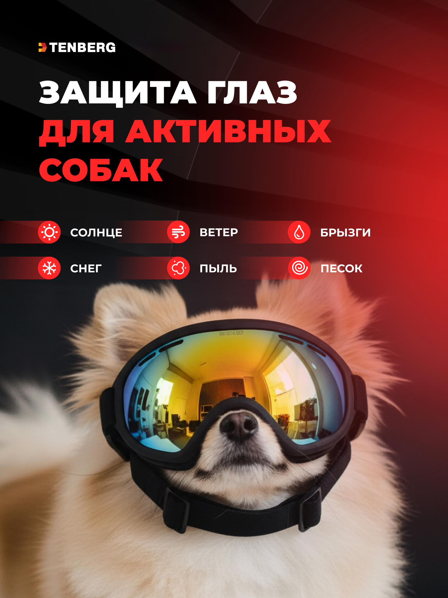 Солнцезащитные очки для собак TENBERG Storm UV Mini - фото 12