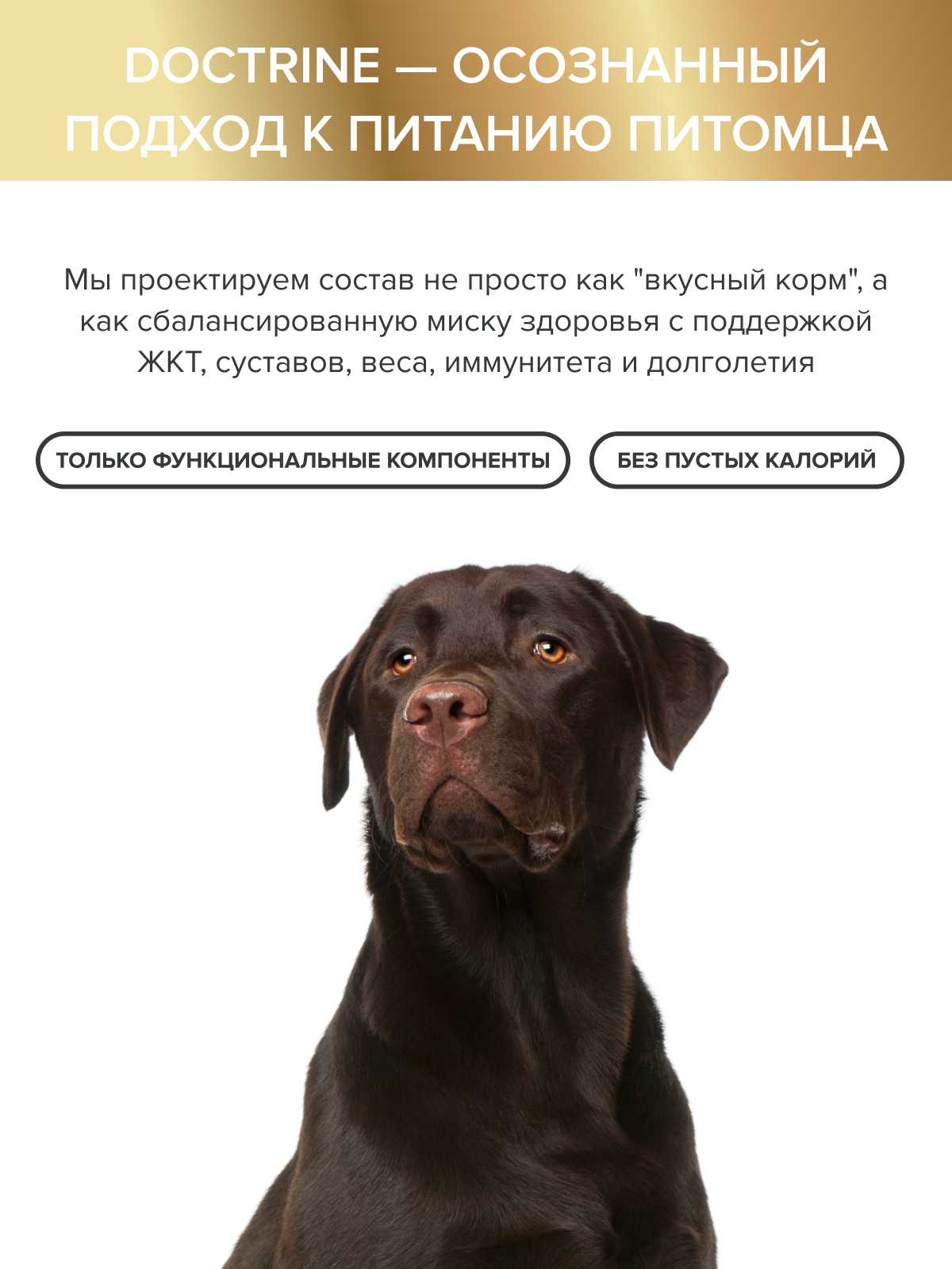 Корм DOCTRINE 0,8кг - фото 10