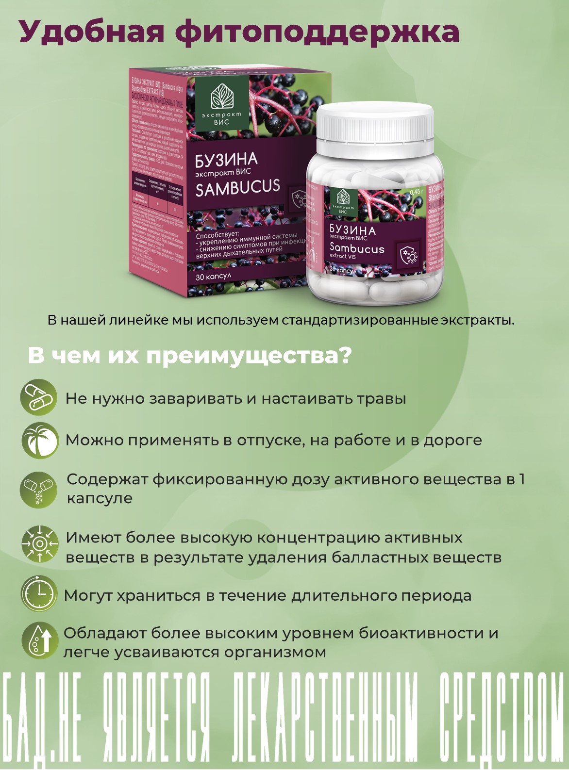 БАД Экстракт-ВИС Бузина капсулы №30 - фото 12