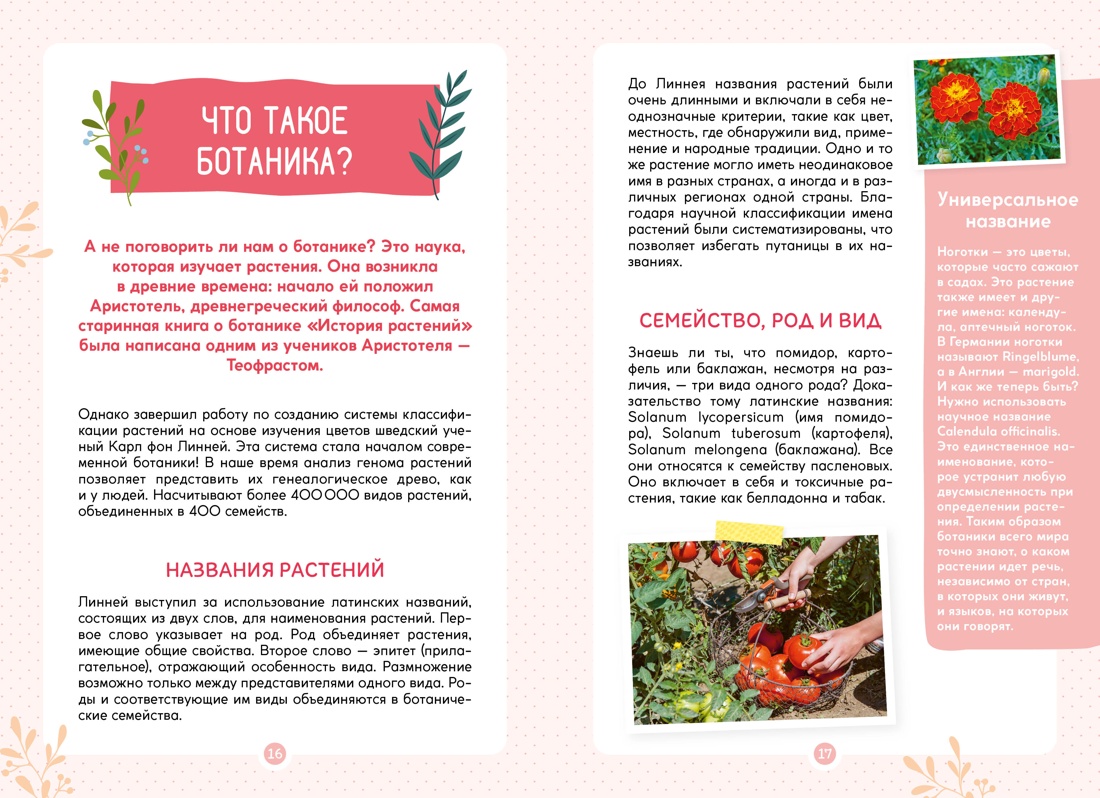 Книга Махаон Франсуа Куплан , Роберт Каплан. Растения вокруг нас - фото 6