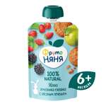 Пюре ФрутоНяня Яблоко-земляника-ежевика с овсяным печеньем с 6 мес 90 г