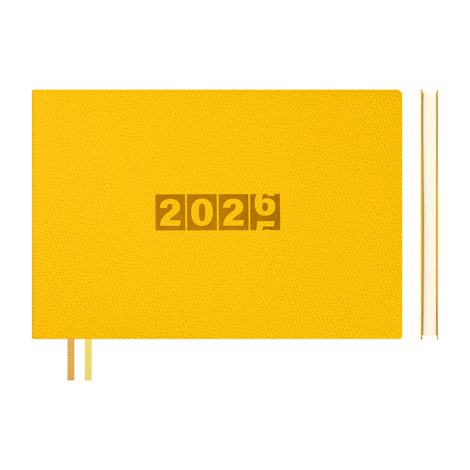 Ежедневник Феникс + ESCALADA 64 лист. - фото 1