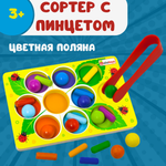 Игрушка Alatoys сортер Цветная поляна в ассортименте