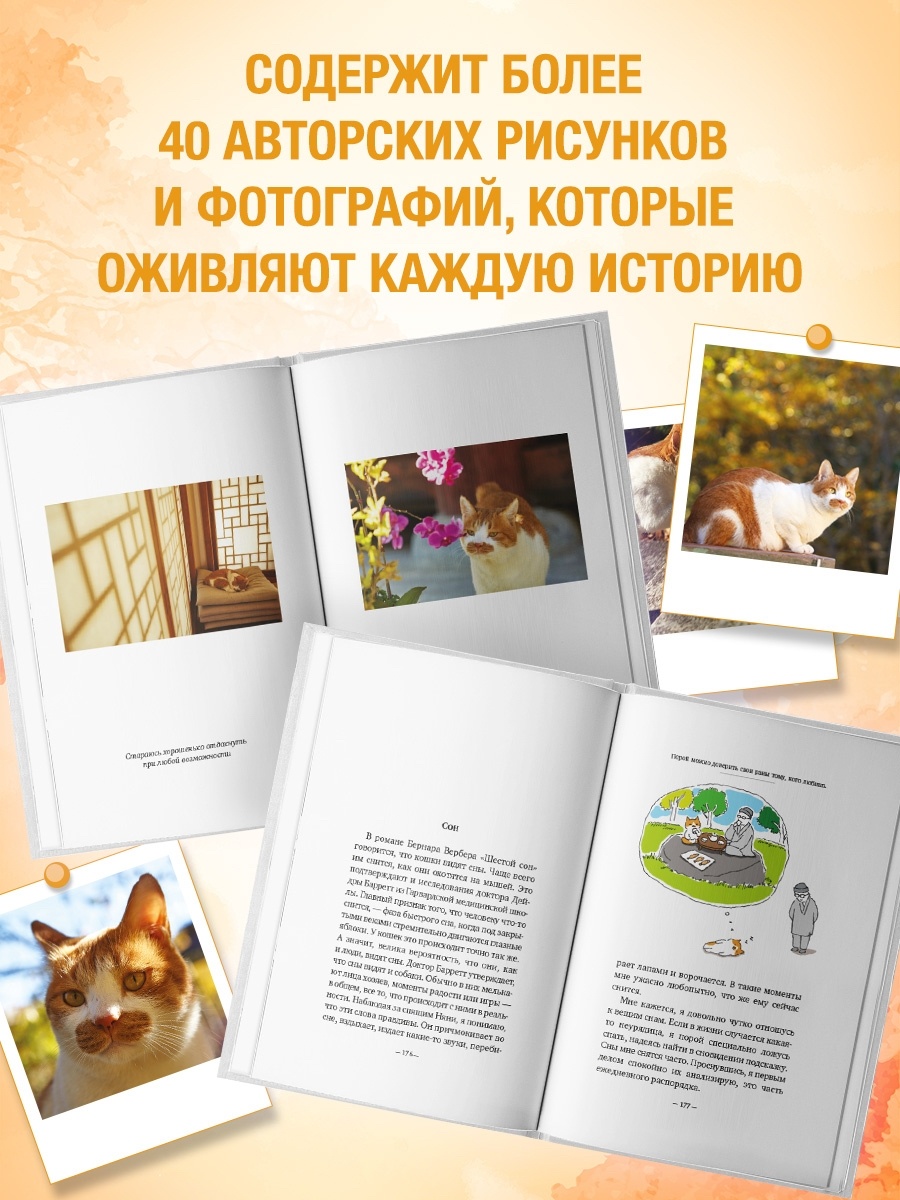 Книга АЗБУКА Бестселлеры NF Погён Однажды ко мне пришел кот - фото 7