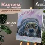 Картина по номерам Остров Сокровищ Мечтай