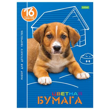 Цветная бумага Hatber 16 лист.