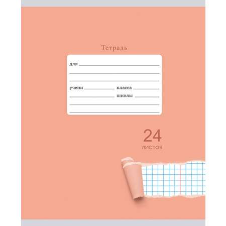 Тетрадь Listoff клетка 24 лист. в ассортименте
