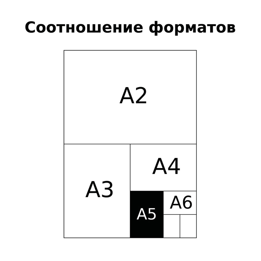 Тетрадь BG линейка - фото 7