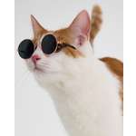 Очки для собак и кошек Зоозавр