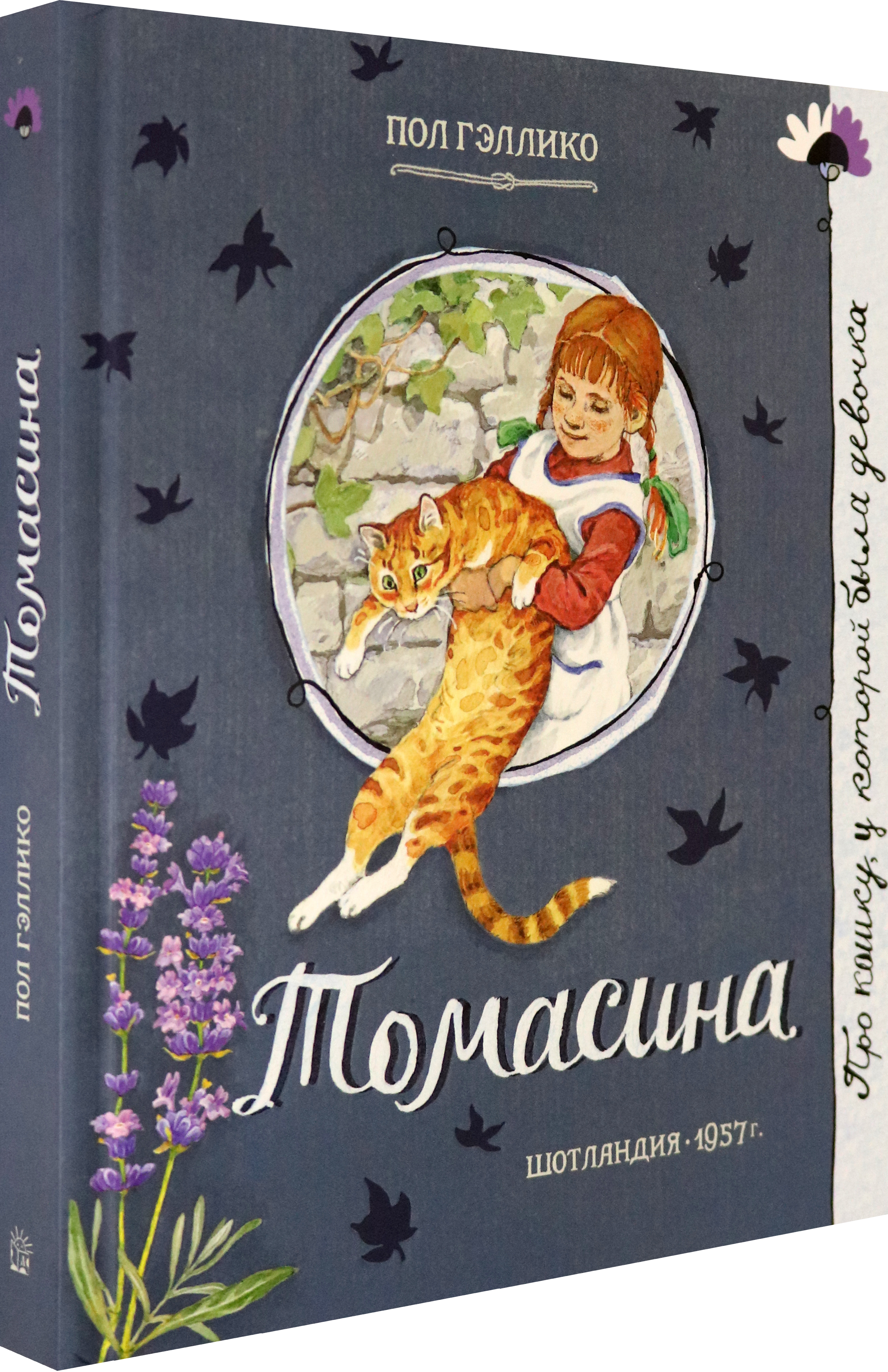 Книга Лабиринт Томасина - фото 2
