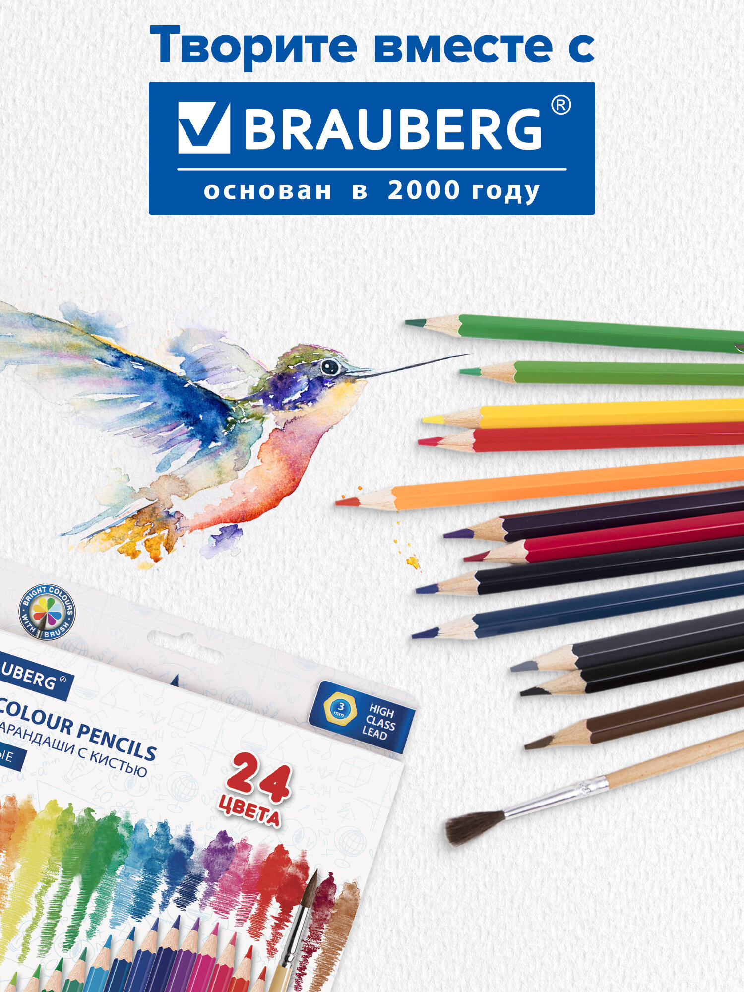 Карандаши акварельные Brauberg 24 шт. - фото 7