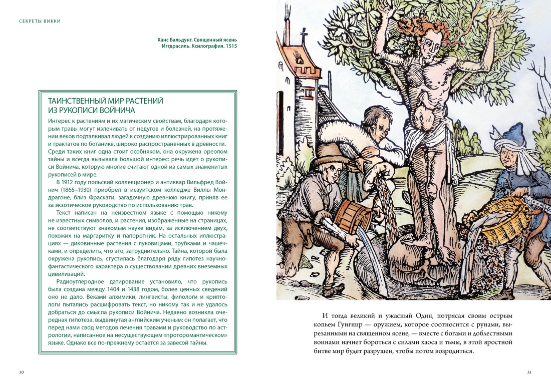 Книга КОЛИБРИ М. Р., Т. С., Д. С. ди В. К. "Маг. жив. Маг. раст.". Сбр. к. в к. из 2-х кн. - фото 10