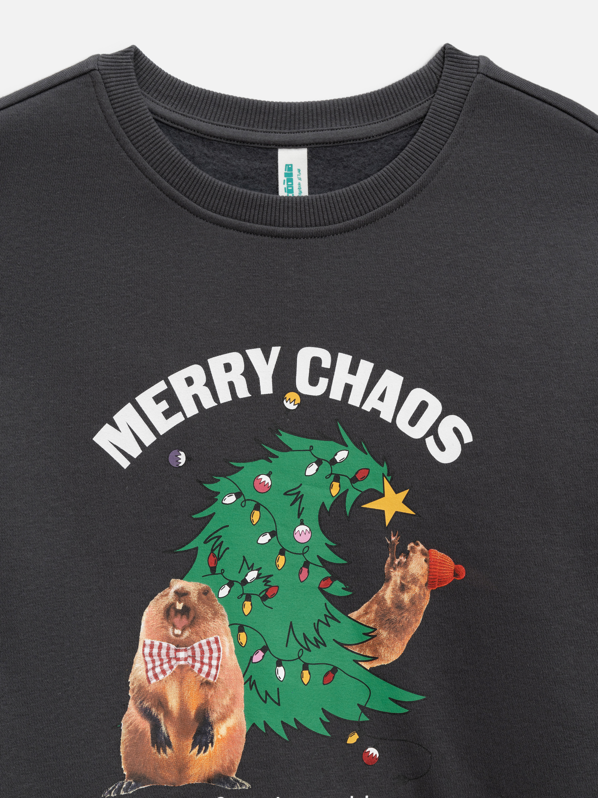 Свитшот Acoola 20230170024_0093553 - фото 5