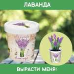 Набор для выращивания Rostok Visa