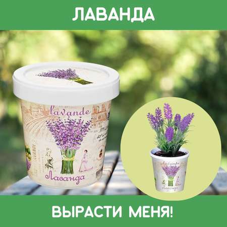Набор для выращивания Rostok Visa