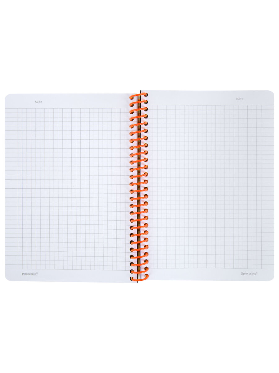 Общая тетрадь Brauberg клетка 80 лист. - фото 5