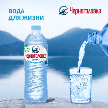 Вода питьевая Черноголовка артезианская негазированная 0.5л