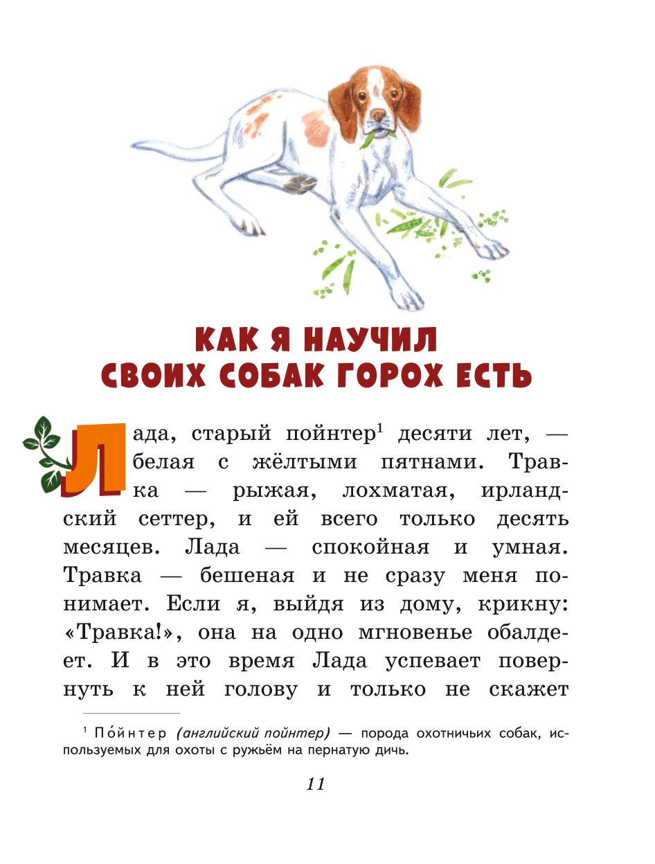 Книга ЭКСМО-ПРЕСС Лисичкин хлеб Рассказы о животных иллюстрации С. Ярового - фото 8