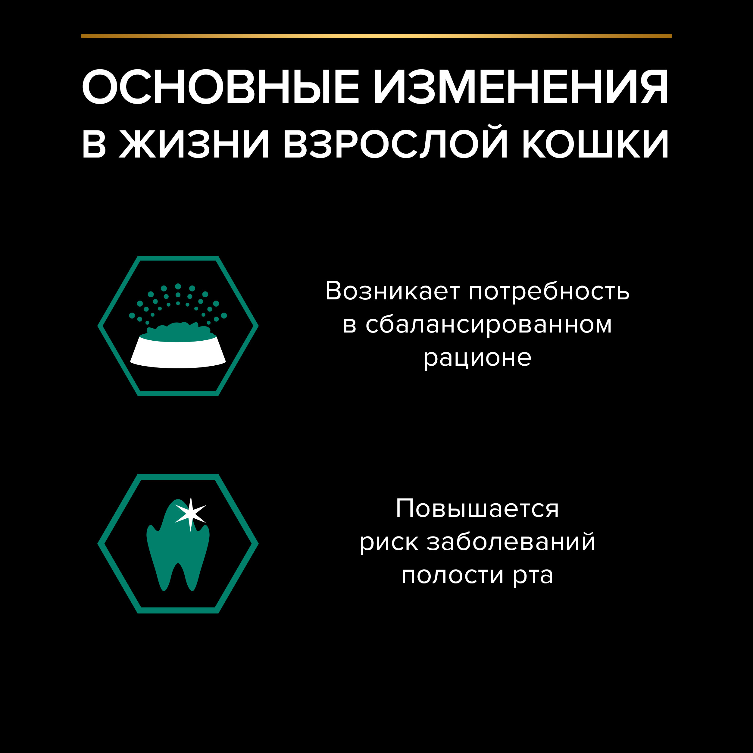 Корм влажный для кошек PRO PLAN MAINTENANCE 85г с курицей в соусе - фото 8