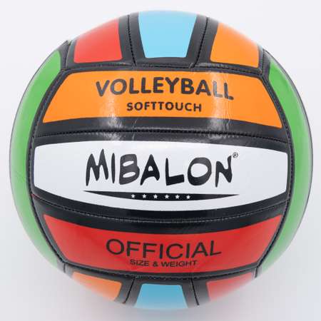 Мяч волейбольный Bolalar Разноцветный