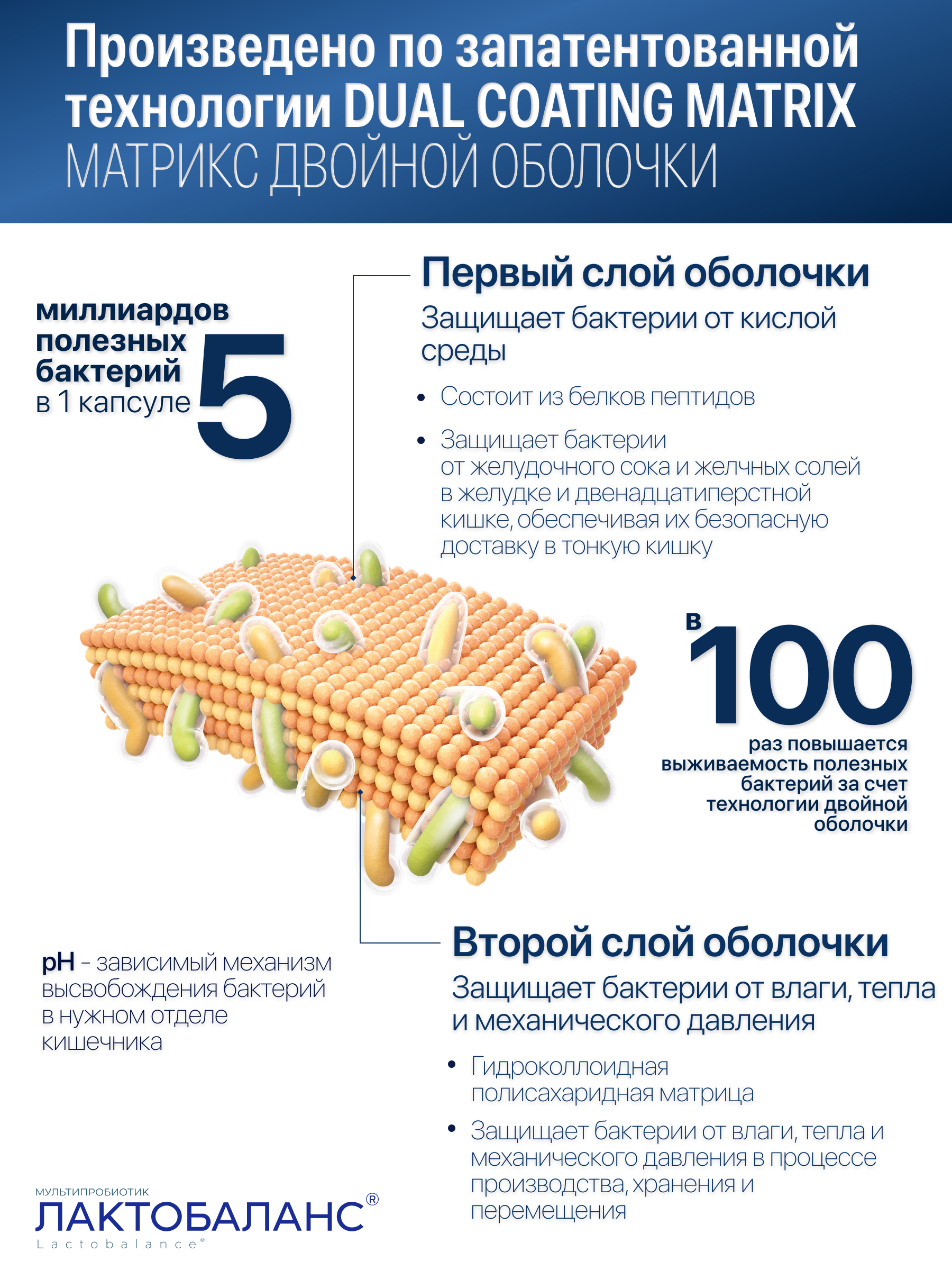 Мультипробиотик Лактобаланс 28 капсул - фото 5