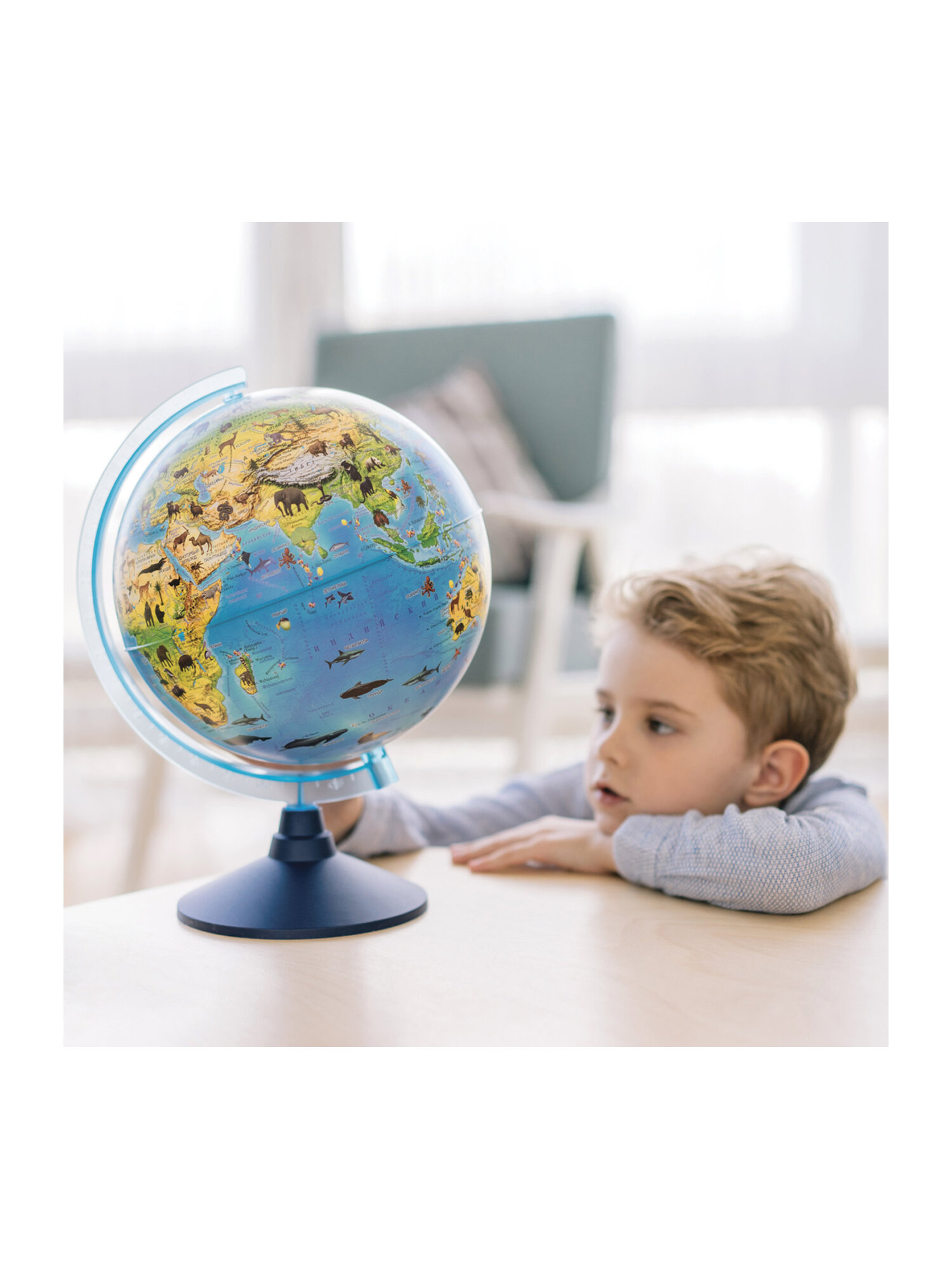Глобус Globen зоогеографический с подсветкой диаметр 25 см - фото 14