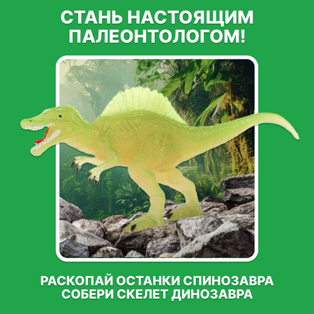Набор для раскопок ON TIME