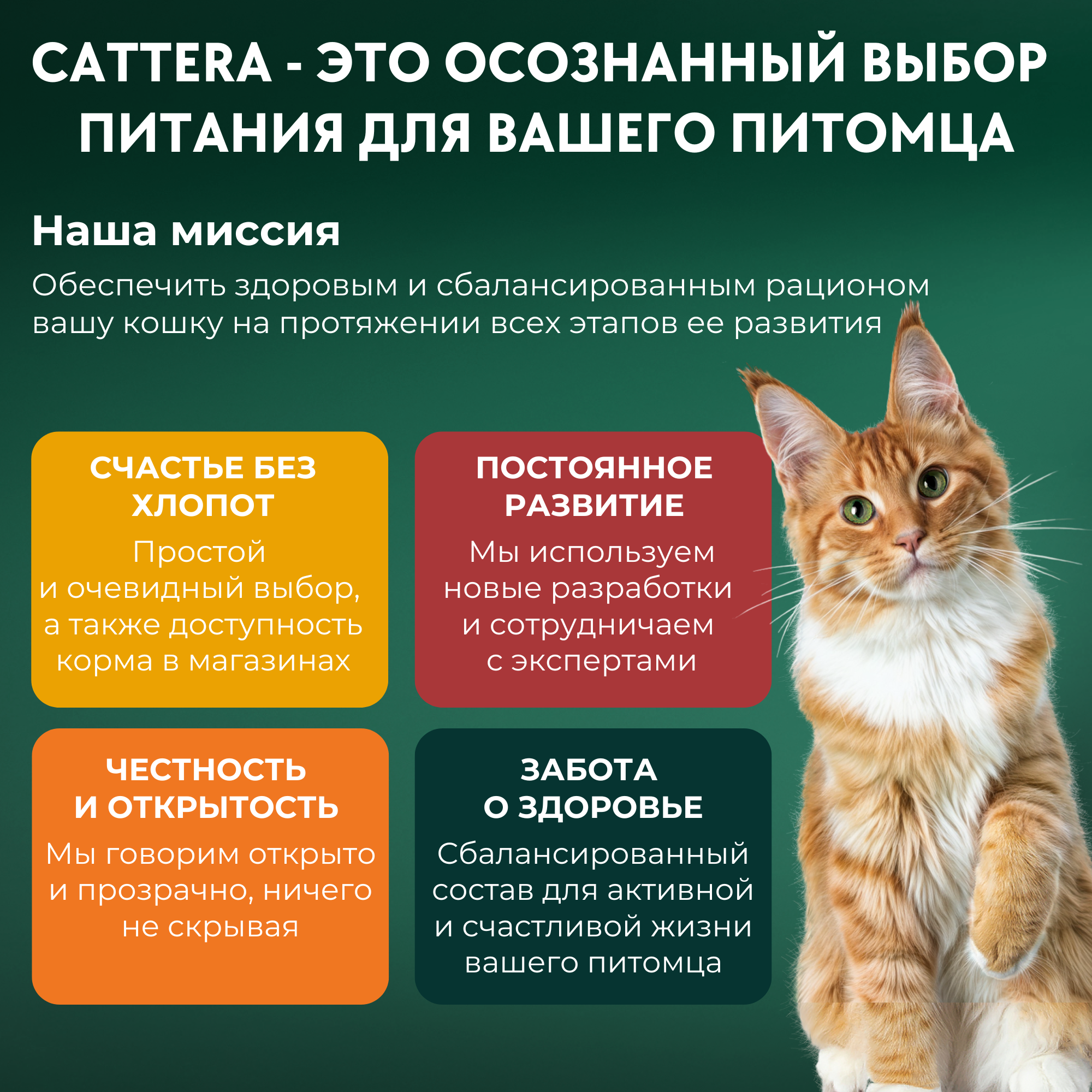 Корм сухой для кошек Cattera полнорационный с курицей 0,7 кг - фото 6