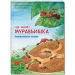 Книга Издательство Энас-книга Где живёт муравьишка Познавательные истории Райхенштеттер Давай познакомимся