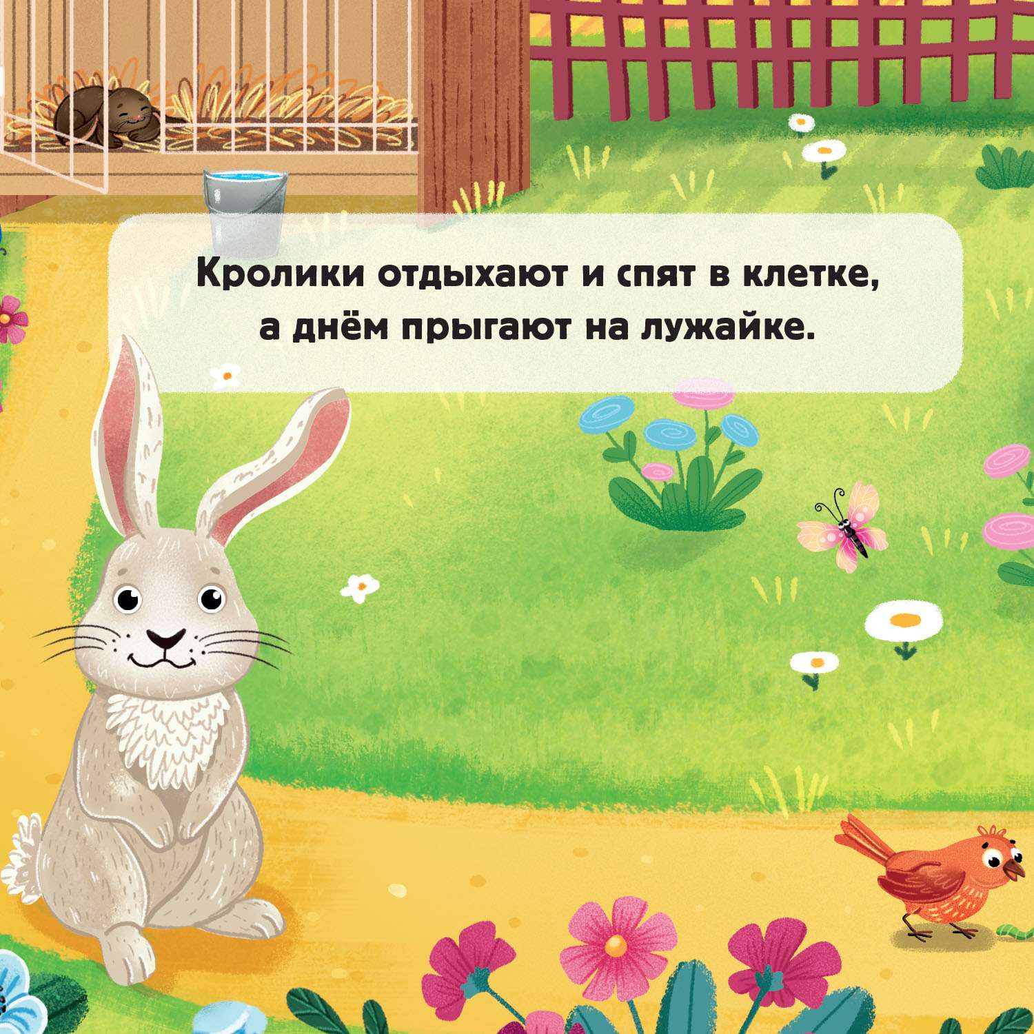 Книга покрути и узнай Кто что ест - фото 5