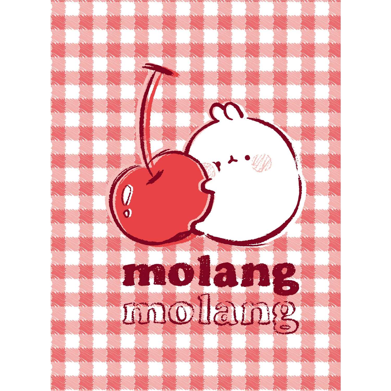 Записная книжка MOLANG А6 80 лист. в ассортименте - фото 2