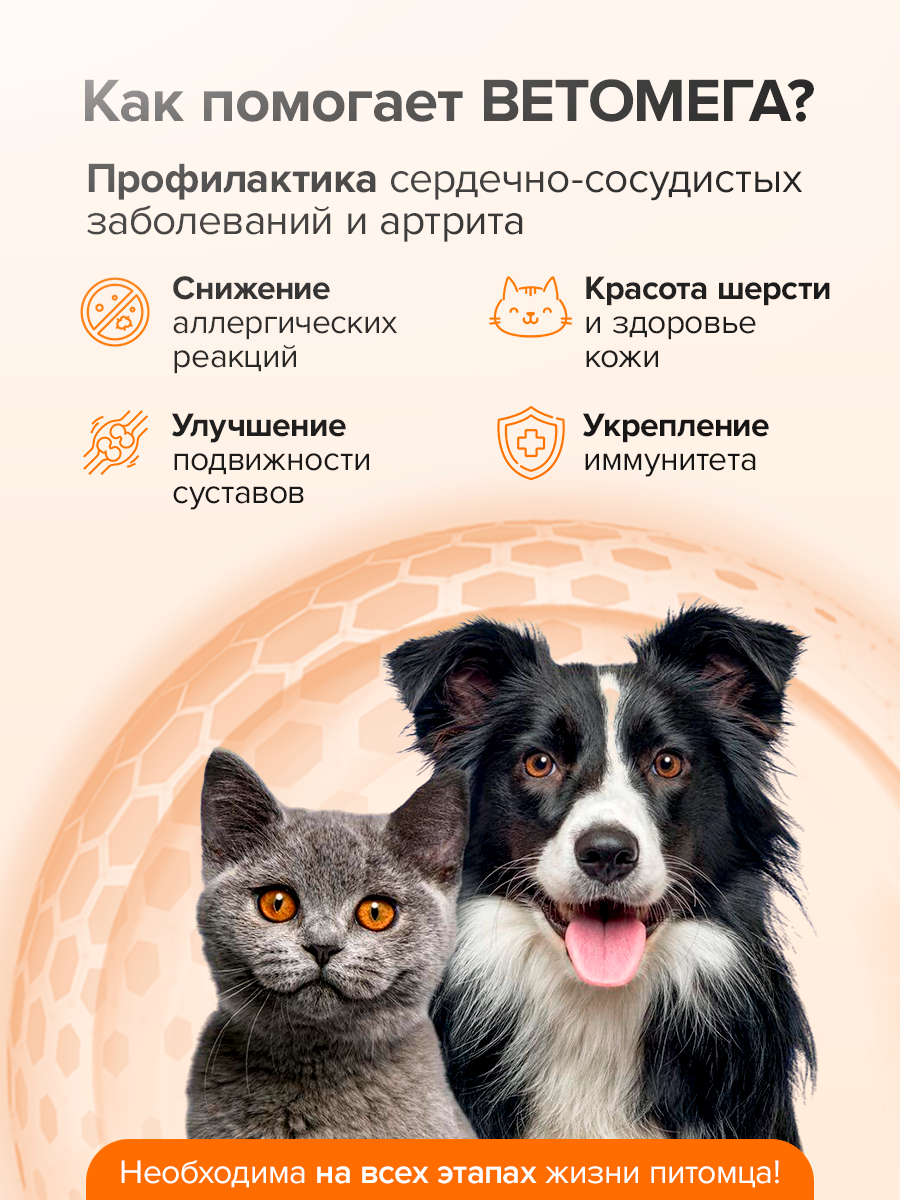 Ветомега - масло лосося и кальмара Pets health для красоты шерсти поддержки иммунной и нервной системы кошек и собак 250 мл - фото 2