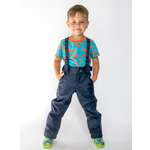 Брюки Аврора