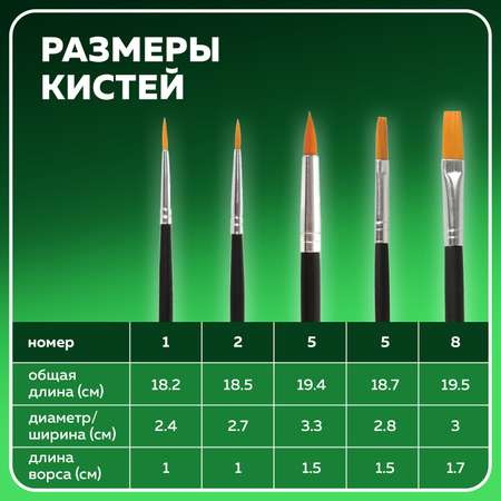 Кисть Brauberg 5 шт. (синтетика)