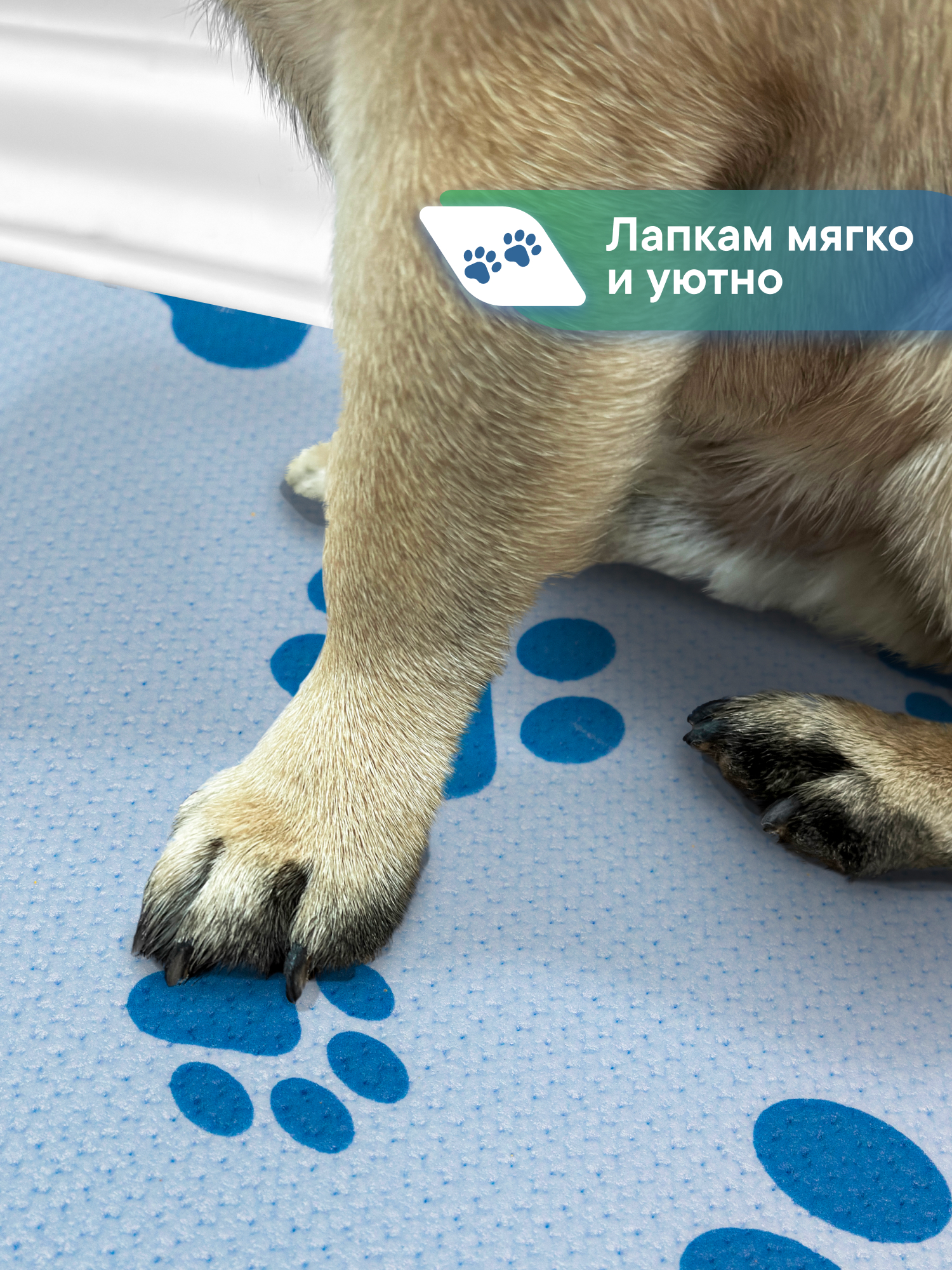 Коврик под миску VILINA Для собак и кошек 50х30 см. - фото 3