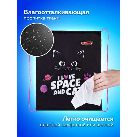 Мешок для обуви Пифагор