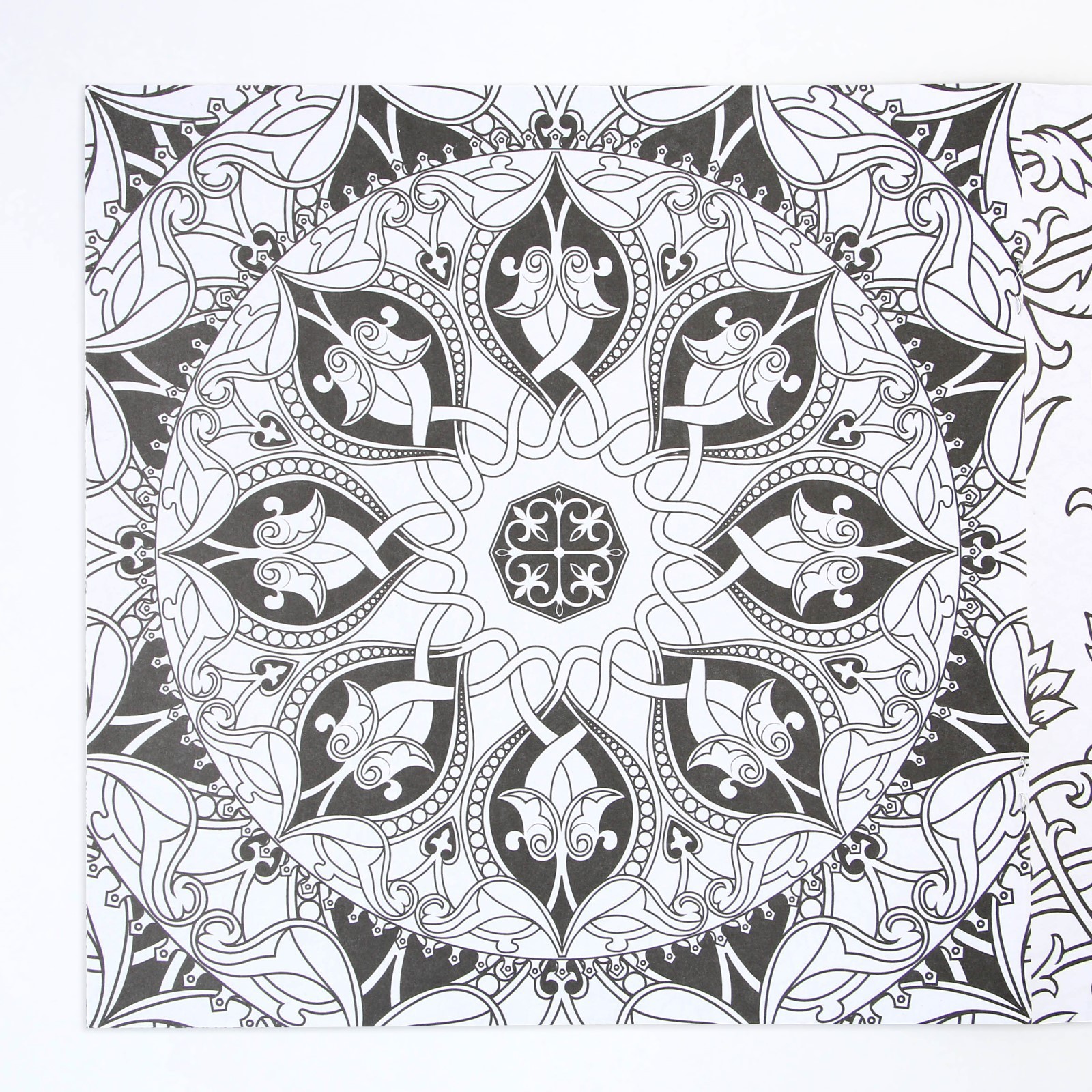 Альбом Школа Талантов для вдохновения Волшебные узоры 20 стр - фото 3