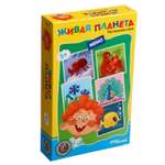 Настольная игра Sima-Land