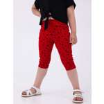 Бриджи Пелигрин