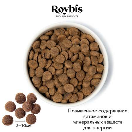 Корм для собак Roybis 0.8кг с ягненком для активных взрослых мелких пород