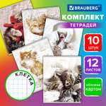 Тетрадь Brauberg клетка 12 лист. 10 шт.